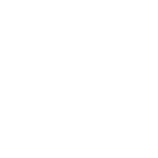 Elephant Logo
