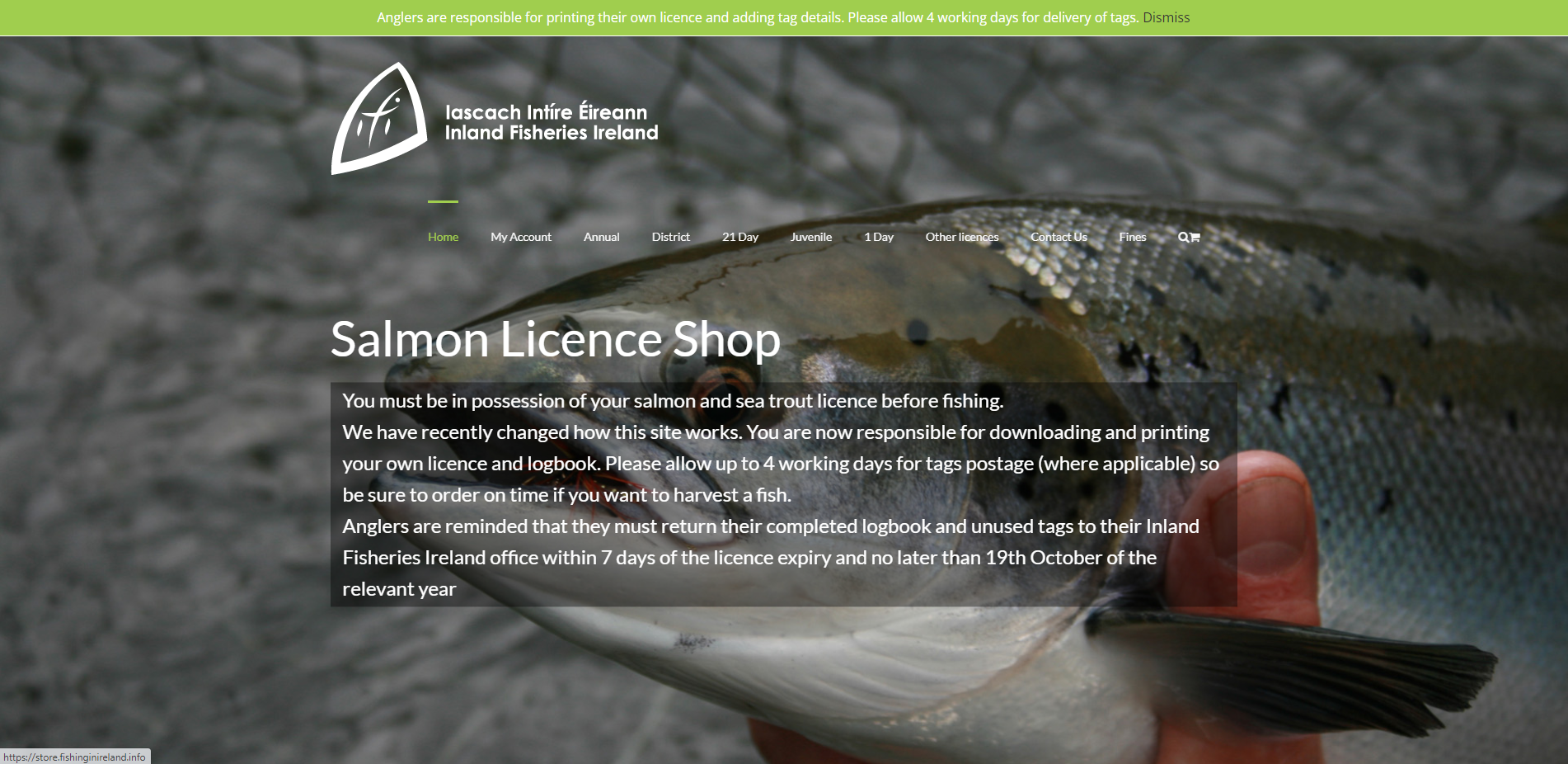 fisheries.ie